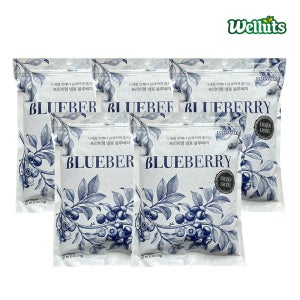 웰루츠 프리미엄 냉동 블루베리 1kg, 5개