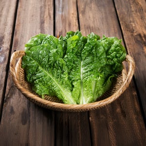 [푸드빌리지] 싱싱한 청상추 2Kg 4kg