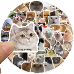 밈 고양이 리무버블 방수 스티커