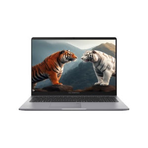 ASUS ExpertBook P1 P1503CVA-S70532 WIN11PRO AI노트북