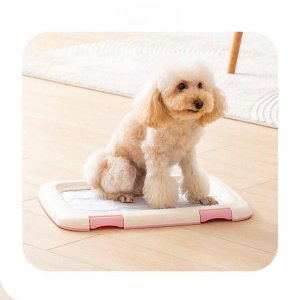 강아지 배변판 패드 화장실 배변훈련 소형견 탈착가능 사이즈 격자망 개방형 밟음방지 브라운 M 격자형 기본