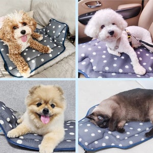 강아지 쿨매트 펫 통풍 바람시트 반려견 방석 여름 고양이 쿠션 USB