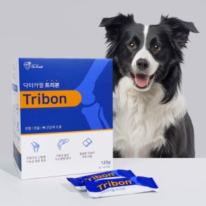 닥터카엘 트리본 강아지 관절 영양제 반려견 애견 노령견 슬개골 탈골 연골 120g, 1개
