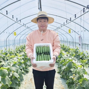 [산지직송, 당일수확] 예스팜 미니오이, 스낵오이 2kg