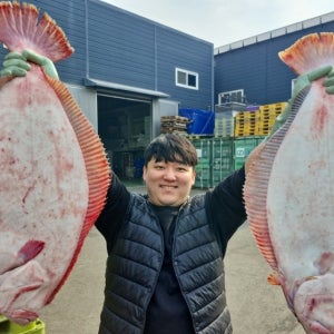 국내 자연산 숙성 특대광어회 200g 곤부지메숙성 광어회