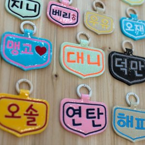 강아지 이름표 펫파파 비닐코팅 자수 네임택 커스텀 애견 인식표 반려견 명찰 패치