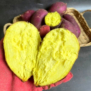 밤고구마 퍽퍽한 황금밤고구마 해남 영암 무안 10kg