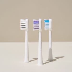리게 웨이브 60 음파전동칫솔 전용 칫솔모 3개입