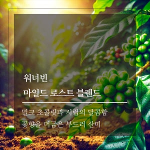 [사업자 커피전문점/카페/ 레스토랑]워너빈 마일드 로스트 블렌드 원두커피 홀빈, 1kg, 1개