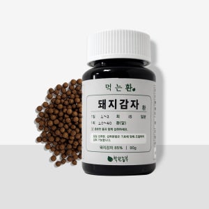 돼지감자환 1+1