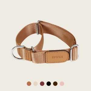 [강아지의날] 호지 마틴게일 저자극 반초크 강아지목줄 칼라 반려견 반려동물 초크 소형견 중형견 대형견