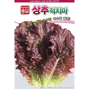 상추 적치마 3000립 사계절 아시아종묘 쌈채소 적상추 다발