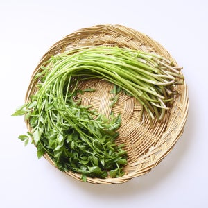 [푸드빌리지] 돌미나리 4kg