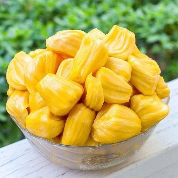 씨없는 100%과육 잭후르츠 잭푸르트 냉동과일 잭플롯 1kg 열대과일