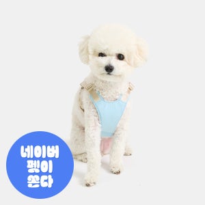 (단품) 놀로 이지플레이 마틴게일 Y형 초경량 국내생산 설채현 하네스