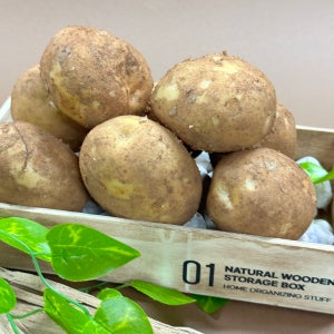산지직송 햇 쫀득이감자 큐어링숙성1kg 5kg