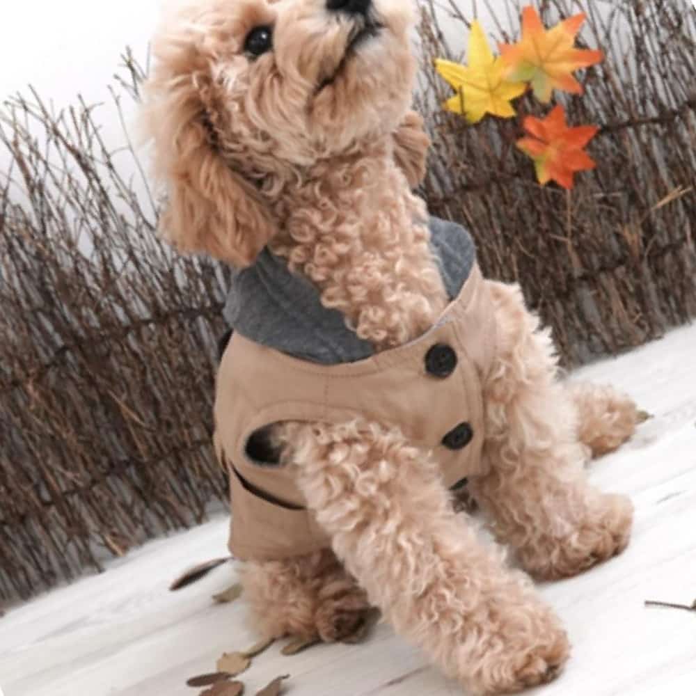 UZ 애완견옷 강아지옷 애견의류 후드 트렌치코트 베이지