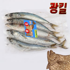 광킬 전갱이미끼 광어낚시미끼 생미끼 고등어미끼 고도리