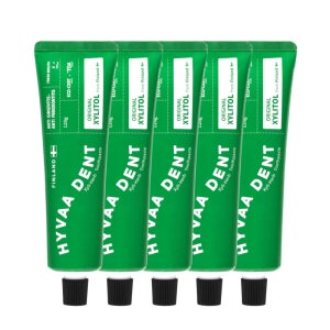 휘바덴트 자일리 허브 치약 구취제거 잇몸케어 치석관리 자일리톨 120g, 5개