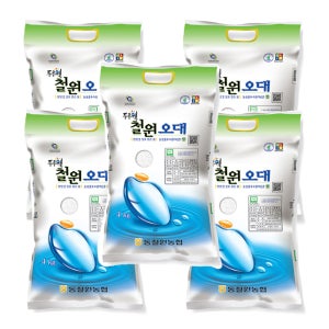 [동철원농협] 철원오대쌀 백미 햅쌀 당일도정 4kg, 5개