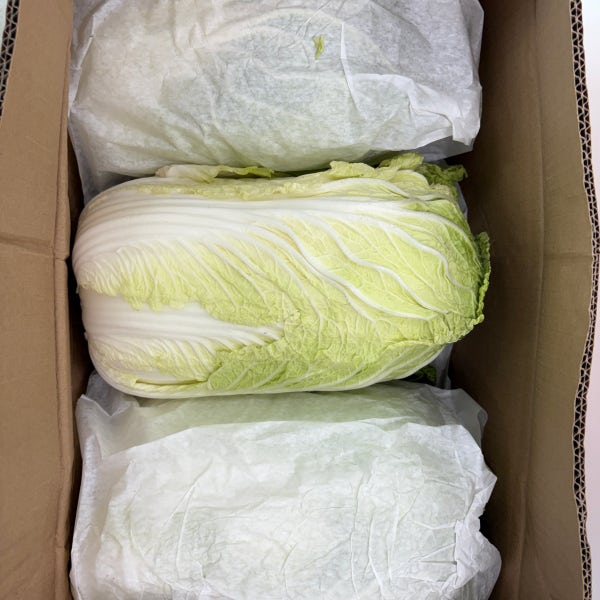 통배추 생배추 수입배추 15kg [품질보장]