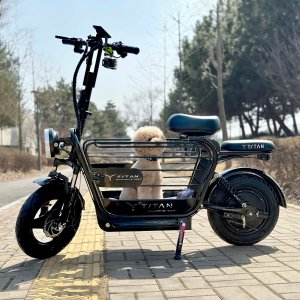 타이탄600 pro 강아지 대형견 전기 전동 스쿠터 21ah 블랙