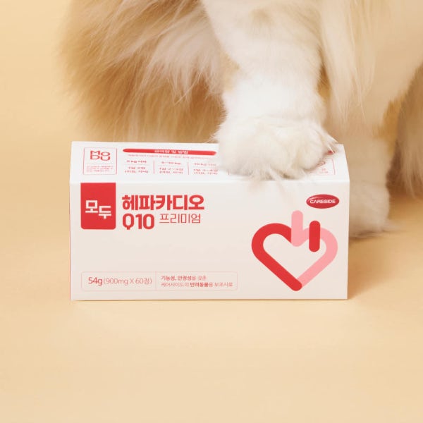 케어사이드 모두 헤파카디오 60정 강아지 고양이 심장 영양제
