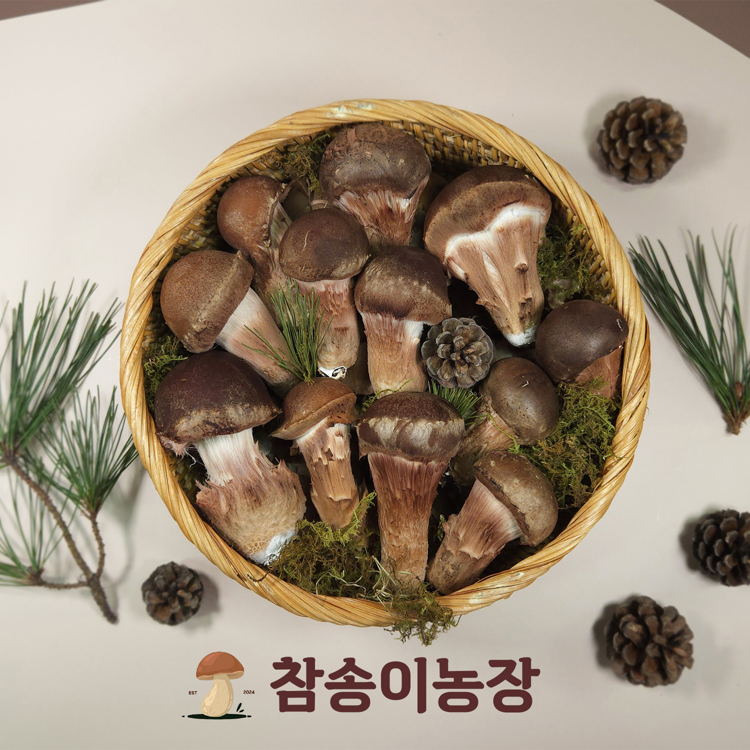 참송이<b>버섯</b> 최상급 농장직송 국내산 송이<b>버섯</b> 1kg 500g 300g 가정용 업소용 선물용