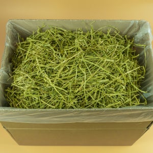 대용량 알팔파 건초 압축 토끼 사료 미국산 5kg 10kg