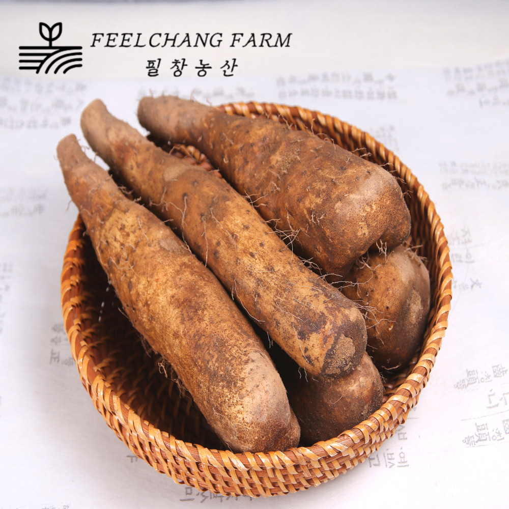 산지직송 햇 안동마 산약 참마 생마 산마 [알뜰] 9kg, 1개