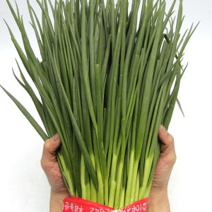 푸레아 국내산 특품 쪽파 1단 깐쪽파 가락시장 당일새벽경매