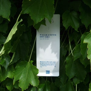 데이데이 데일리 하우스 블렌드 커피원두 홈카페 홀빈, 500g, 1개