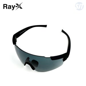 레이엑스 보안경 X-104S1 무광 스모크