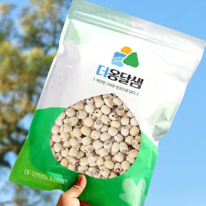 더옹달샘 엄선한 우수품질 깐 연자육 500g 연꽃씨 연밥