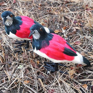 때까치 모형 슈라이크 16cm 새모형 모조 동물 인형 장식 연출 소품 피규어 깃털