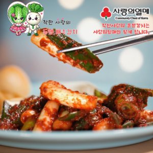 착한사랑의 동행 대파 김치 2KG 국내산 가격파괴