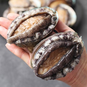 완도 활 전복 14-15미 1kg 매일 새벽 어획한 신선한 활 전복 대복/중복/사이즈선택가능
