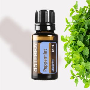 [국내배송] 도테라 에센셜 오일 페퍼민트 15ml 100% 천연 아로마