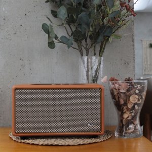 휴라이즈 거실용 블루투스스피커 HR-T5 retro