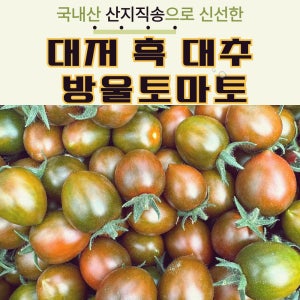 흑대추방울토마토 대저 토마토 당일수확 방토 2kg 1kg