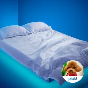 호무로 슈퍼하이쿨 초고분자 냉감 이불 SS