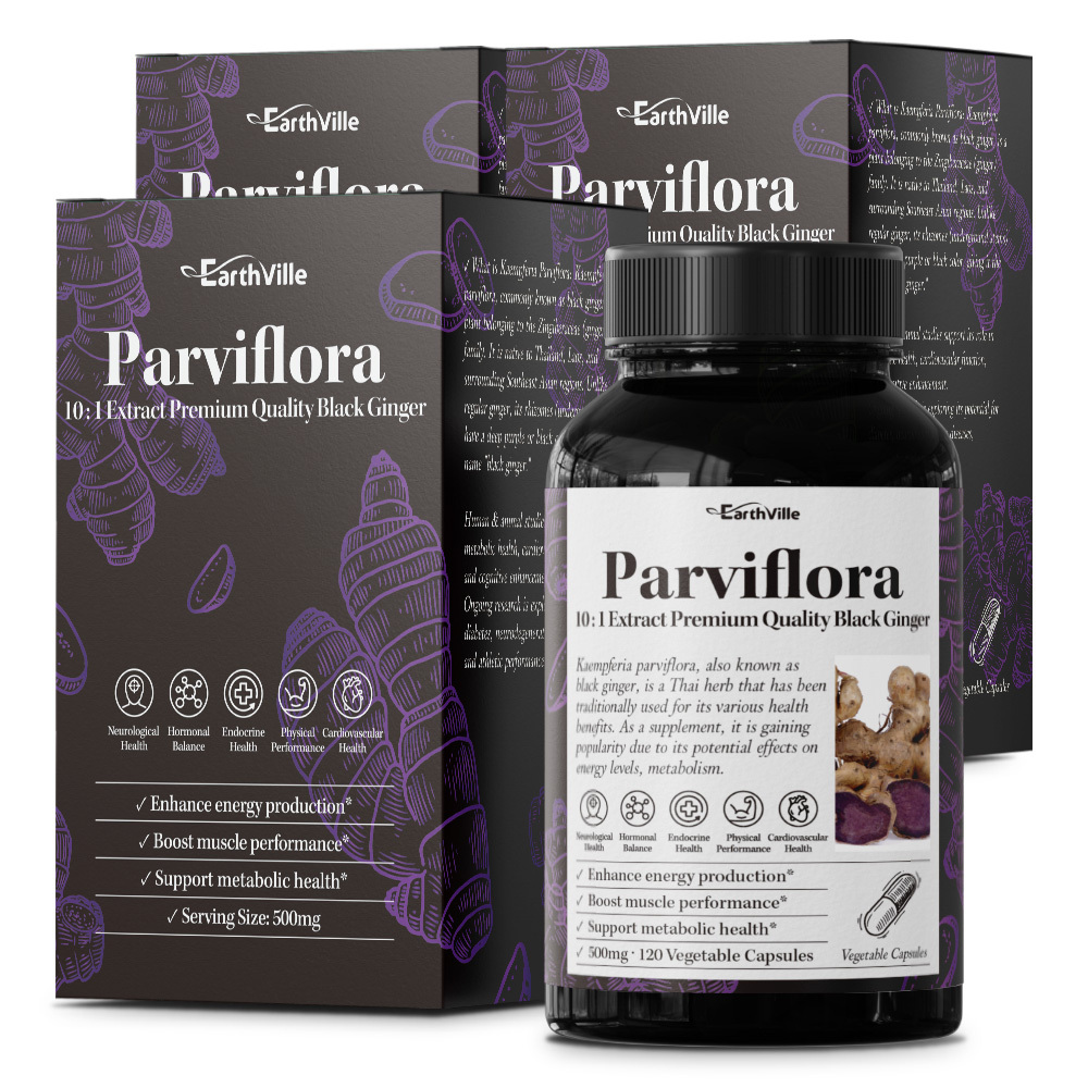 3통 어스빌 흑생강 끄라차이담 파비플로라 블랙<b>진저 500mg</b> 효능 360베지캡슐