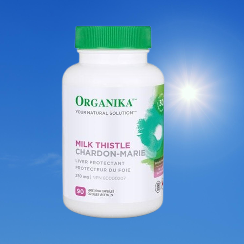 <b>오가니카</b> 올가니카 밀크시슬 밀크씨슬 간서포트 간영양제 간에좋은 250mg 90정