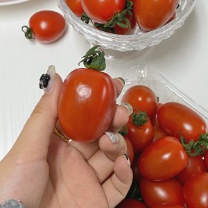 산지직송 100% 국내산 대추방울토마토 쥬스용토마토 2kg 3kg 5kg 무료배송