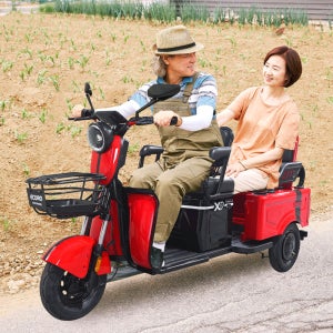 2인용 전기 스쿠터 에코로 X5 48V 20Ah 장애인 노인 어르신 전동 AU테크 전동차