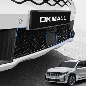 그랑 콜레오스 튜닝 프론트 그릴 하단 방충망 몰딩