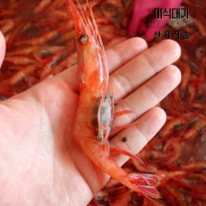 동해 횟감 단새우 홍새우 500g 1kg