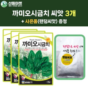 산들마켓 까미오시금치 씨앗 30g 노균병 저항성품종 시금치씨 3개+랜덤 씨앗 1개 증정