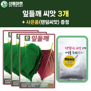 산들마켓 잎들깨 씨앗 10g 연중재배 깻잎 들깨씨 종자 3개+랜덤씨앗1개 증정
