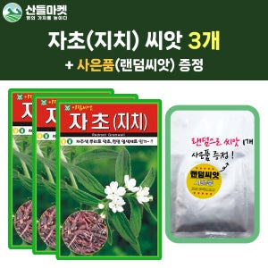 산들마켓 자초 씨앗 500립 재래종 지치 자초씨 3개+랜덤 씨앗 1개 증정